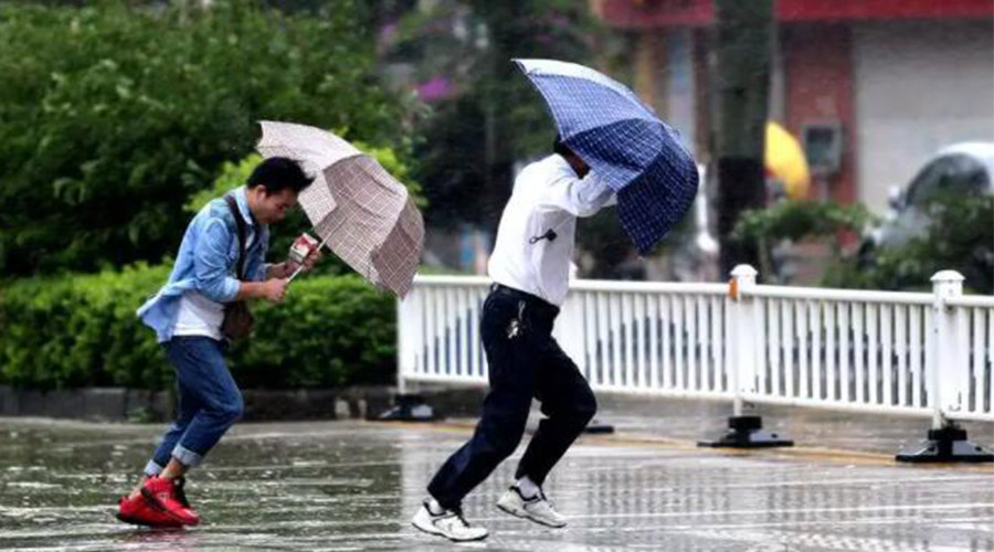 9號臺風(fēng)“馬鞍”生成！金環(huán)電器提醒大家要注意的事項