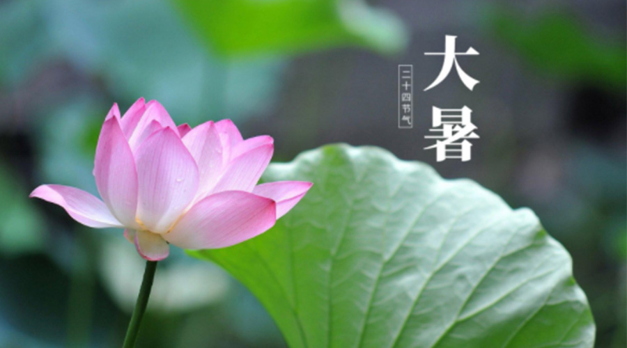 大暑時(shí)節(jié)！金環(huán)電器提醒大家注意這些干衣細(xì)節(jié)