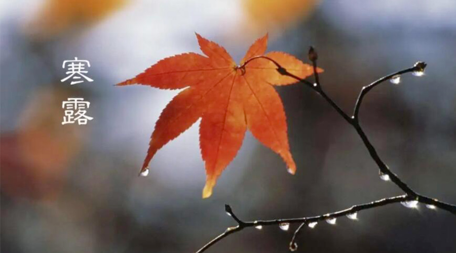 寒露時節(jié)！金環(huán)電器提醒大家要注意的事項