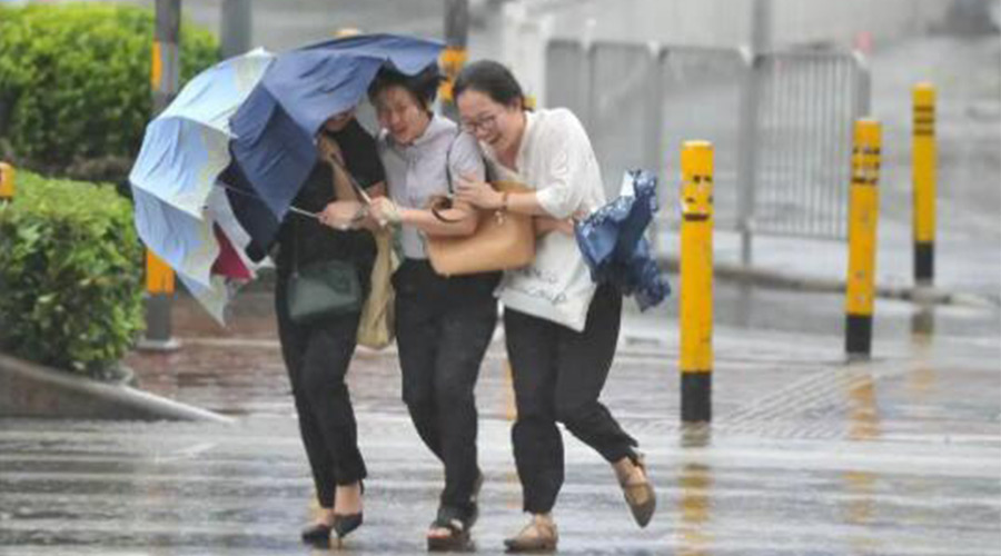 家有衣物烘干機(jī)，無懼臺(tái)風(fēng)天吹走和淋濕衣物！