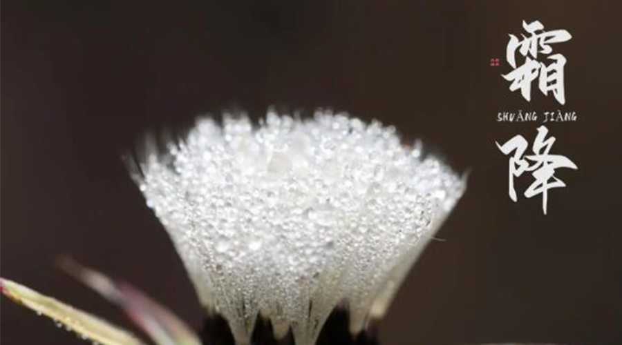 霜降時(shí)節(jié)！金環(huán)電器提醒大家要注意的事項(xiàng)