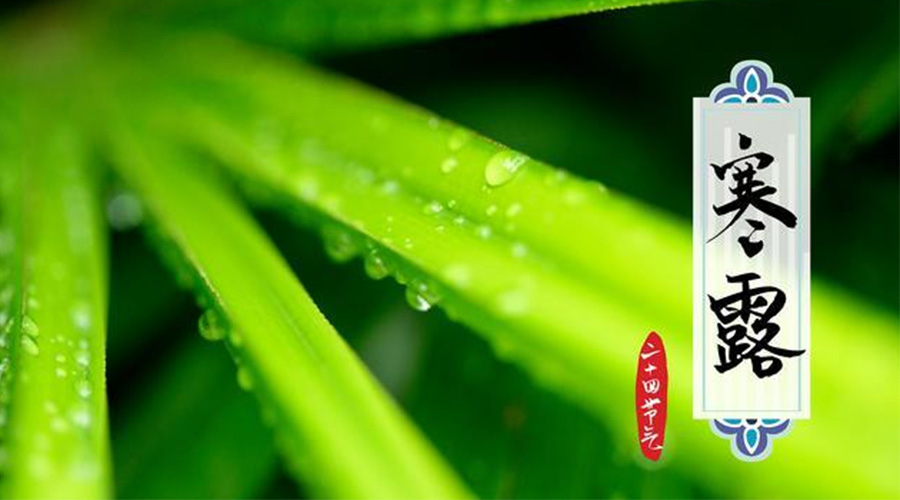 寒露時節(jié)到！金環(huán)電器提醒這些干衣事項(xiàng)要注意