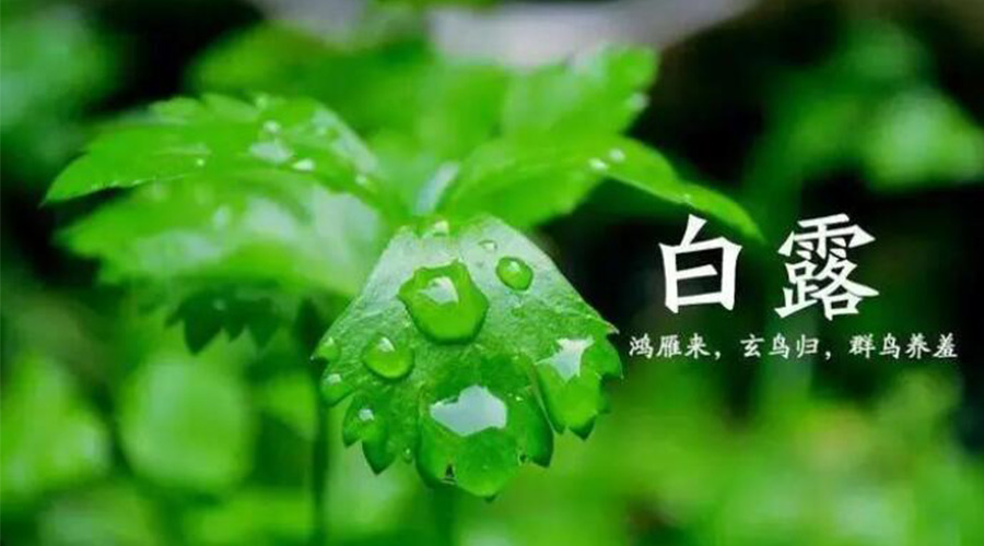 白露時節(jié)！金環(huán)電器提醒大家要注意的事項
