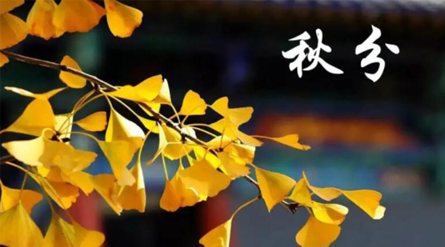 秋分時(shí)節(jié)！金環(huán)電器提醒大家要注意的事項(xiàng)